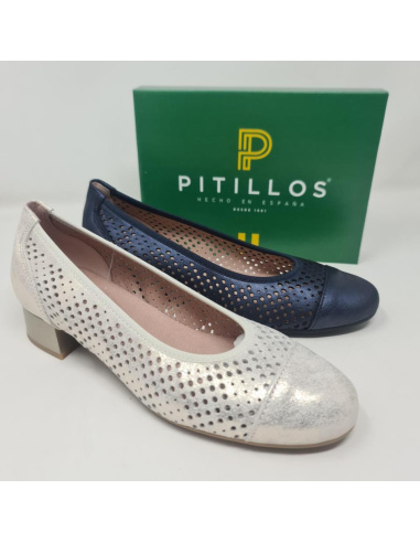 Zapato Pitillos Salon Tacon Bajo Mod 5713