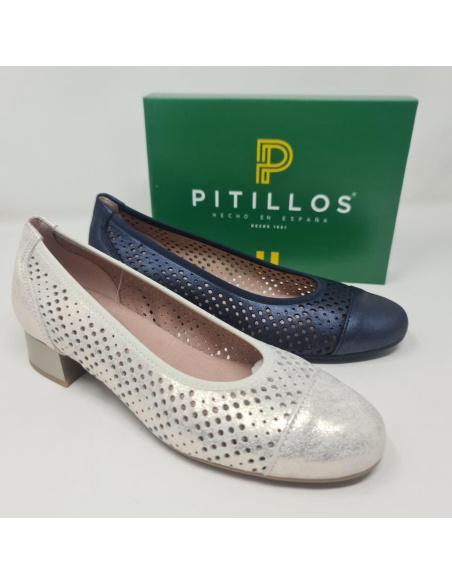 Zapato Pitillos Salon Tacon Bajo Mod 5713