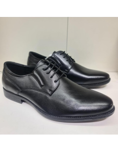 Zapato Cordón Elásticos Mod  Q2302 Leonal