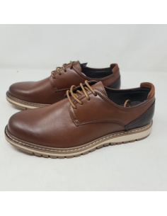 Zapato Cordón Sole Box
