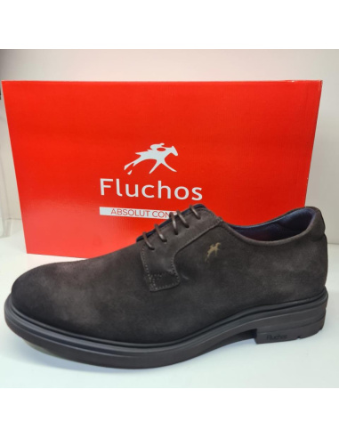 Zapato Cordones Fluchos Ante Belgas F0631